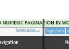 Manually Add Numeric Pagination In WordPress Themes-Pak Coders